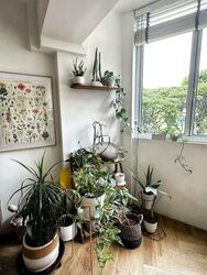 Blk 236 Lorong 1 Toa Payoh (Toa Payoh), HDB Executive #599052331